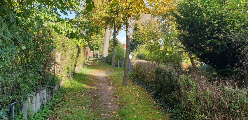 Mittelweg des ehemaligen Ernstthaler Friedhofs
