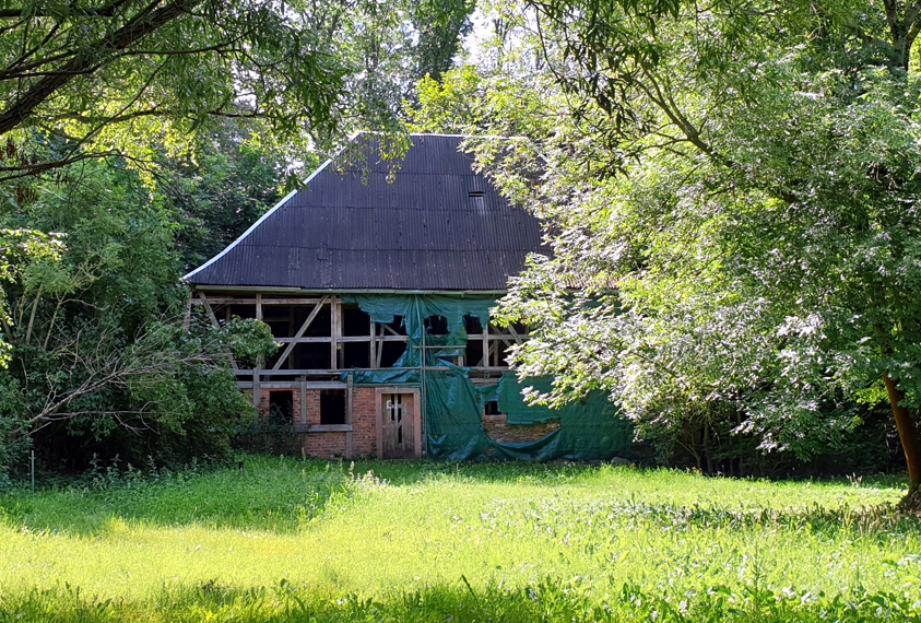 Rote Mühle 2020