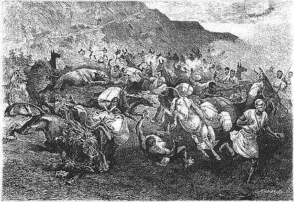 Der Ueberfall der Löwen.