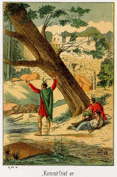 Waldröschen-Illustration