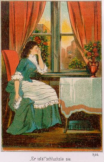 Waldröschen Illustration