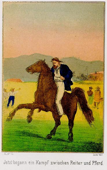 Waldröschen-Illustration