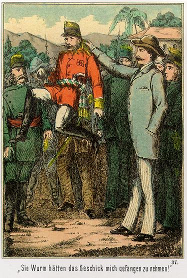 Waldröschen-Illustration