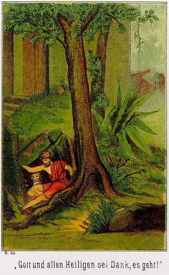 Waldröschen Illustration