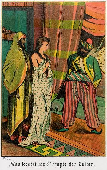 Waldröschen Illustration