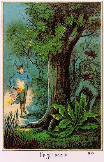 Waldröschen Illustration