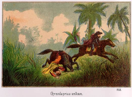 Waldröschen Illustration